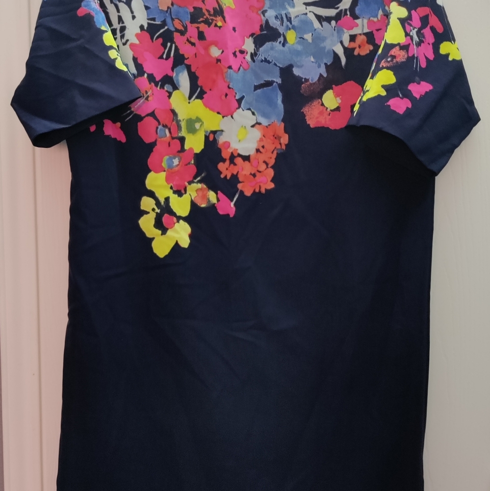 Loft Ann Taylor dress